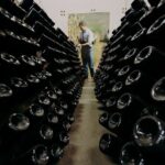 Wine and Balsamic Vinegar Tour with Tasting - Why This Tour Works Well for You