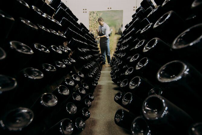 Wine and Balsamic Vinegar Tour with Tasting - Why This Tour Works Well for You