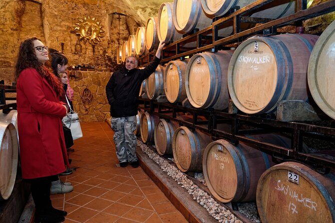 Wine and Culinary Adventure in Jeruzalem - Full Day Tour from Ljubljana or Ptuj - The Bottom Line: Who Should Book This Tour?