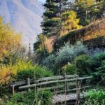 Wine and Culture on the Lake: An Italian Experience in Como - Authenticity and Unique Touches