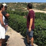 Wine and Food of Crete, Heraklion - Who Should Consider This Tour?