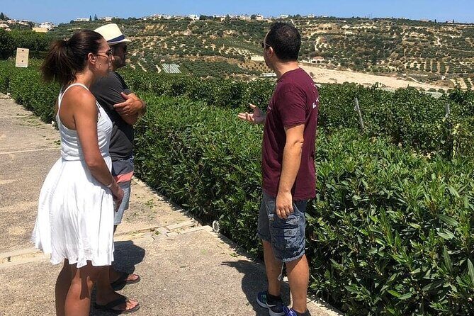 Wine and Food of Crete, Heraklion - Who Should Consider This Tour?