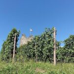 Wine and Food tasting PRIVATE Guided Tour - What Sets This Tour Apart