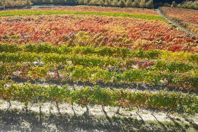 Wine and Typical Product Tasting Tour - Exploring the Tour in Detail