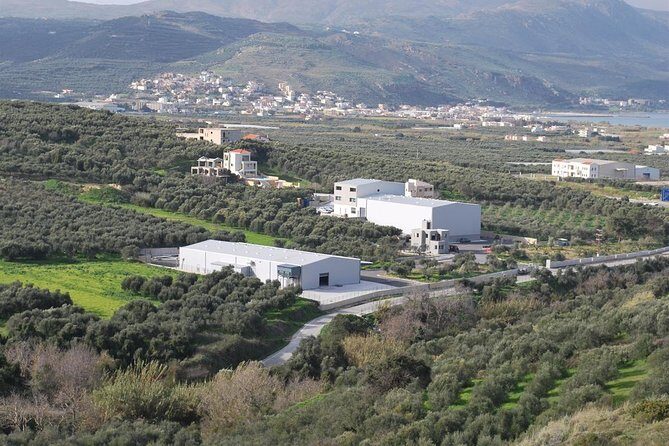 Wine, Beer, Olive Oil Tasting Private Tour (price per group of 6) - Who is This Tour Best For?