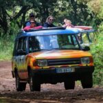 Wine & Cabo Girão Jeep Safari : Unveiling Madeira's Treasures - Who This Tour Is Best For