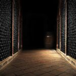 Wine cellar tour with tasting 3 wines of the Loire - An In-Depth Look at the Loire Wine Cellar Tour