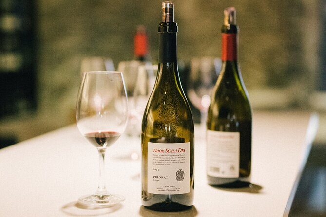 Wine course in Saint-Emilion followed by a tasting - Final Thoughts: Is This Experience Worth It?