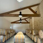 Wine Degustation, Visit and Masterclass from Vérac - FAQ