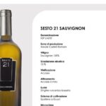 Wine Education Course in Rome with Tasting - What to Expect During the Tour