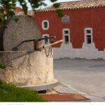 Wine experience in a local winery - Departure from Cagliari - Key Points