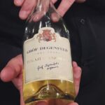 Wine & Food Tasting Cruise on the Danube - Value & Practicality