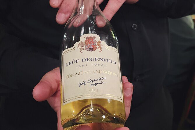 Wine & Food Tasting Cruise on the Danube - Value & Practicality