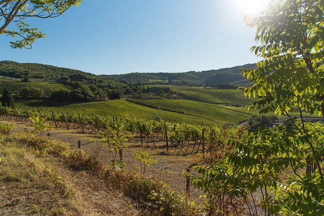 Wine Hiking Sip & Trek - What Travelers Say