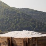 Wine Lover's Tour From Dubrovnik - Authentic Experiences and Noteworthy Details