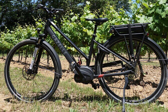 Wine of the Luberon by e-bike... Not to be missed ! - Exploring Provence with E-Bike Technology