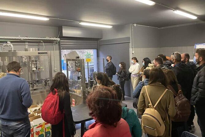 Wine Raki Olive Oil Tasting and Pottery - Private Tour - Itinerary Breakdown: What You Can Expect