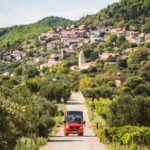 Wine & Sightseeing Tour Korcula - The Experience in Detail