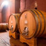 Wine tasting and guided tour of the cellar - What Reviewers Say