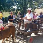 Wine tasting and horseback riding in Montepulciano, in Tuscany from Rome - The Sum Up