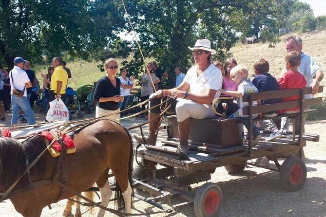 Wine tasting and horseback riding in Montepulciano, in Tuscany from Rome - The Sum Up