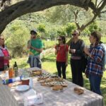 Wine tasting and Olive Oil in Tirana Surroundings - Final Thoughts