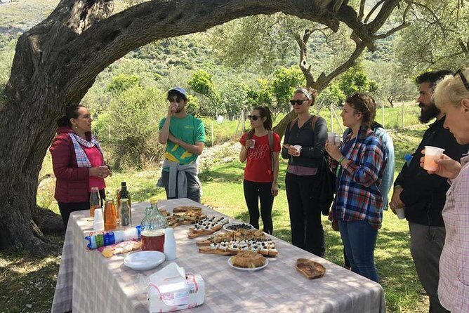Wine tasting and Olive Oil in Tirana Surroundings - Final Thoughts