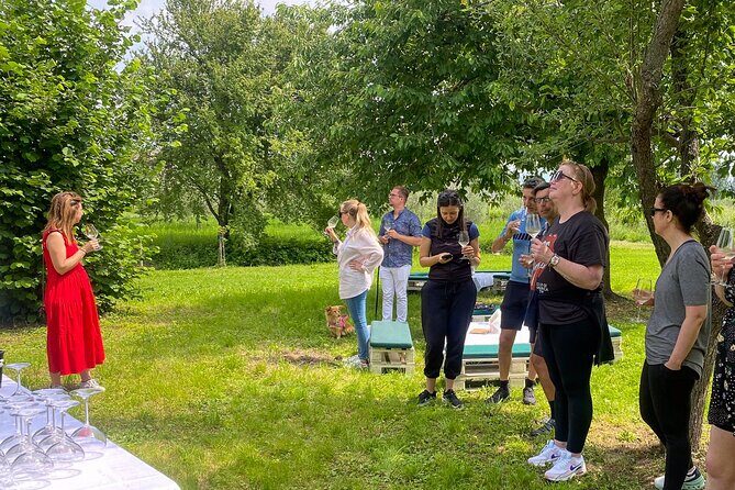 Wine Tasting and Tour of Lugana Wines in Sirmione - Who Should Consider This Tour?