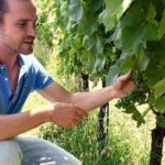 Wine Tasting and Winery tour - Final Thoughts: Who Will Enjoy This Tour?