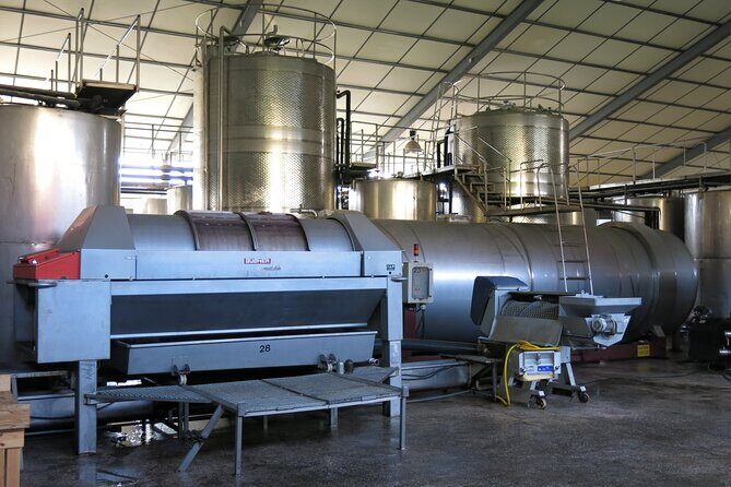 Wine tasting and winery tour at Fikardos Winery - Why This Tour Stands Out