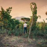 Wine Tasting and Winery Tour in Vesuvio National Park with Lunch - Who Will Appreciate This Tour?