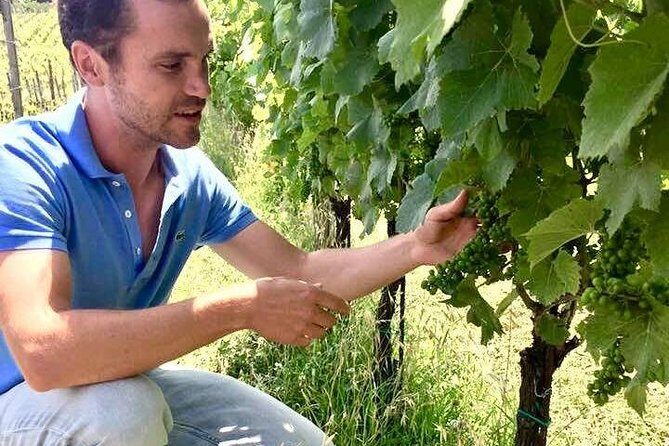 Wine Tasting and Winery tour - Final Thoughts: Who Will Enjoy This Tour?