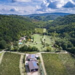 Wine Tasting by CarusVini in San Casciano in val di Pesa - Authenticity and Local Flavor