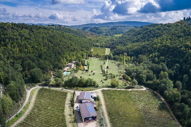 Wine Tasting by CarusVini in San Casciano in val di Pesa - Authenticity and Local Flavor