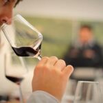 Wine Tasting Experience at the organic winery in ian - The Reviews: What Past Guests Say