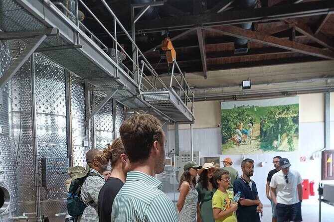 Wine Tasting Experience from Thessaloniki - The Wine Tasting Itself