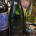 Wine Tasting Experience in Barcelona - The Itinerary in Detail