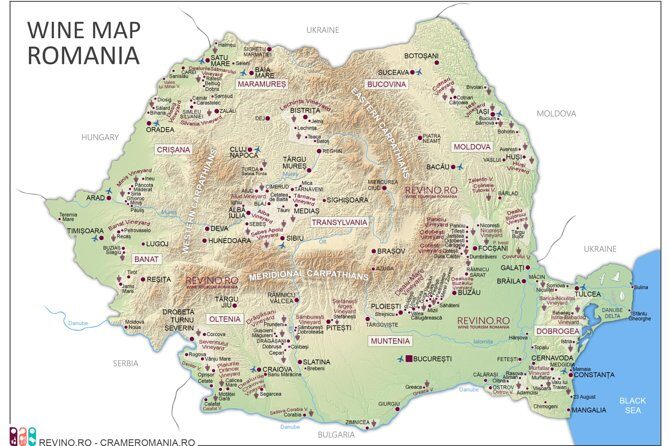 Wine Tasting in Bucharest long version - The Wines: A Closer Look