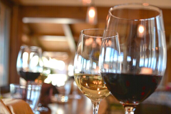 Wine Tasting in Historic Open-Lounge room - Who Will Love This Experience?