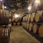 Wine Tasting in Montepulciano Tuscany Private Tour from Rome - Who is This Tour Perfect For?