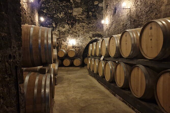 Wine Tasting in Montepulciano Tuscany Private Tour from Rome - Who is This Tour Perfect For?