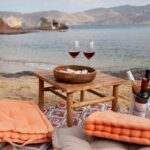 Wine Tasting In Mykonos with Greek Ancient varieties - The Experience in Detail: What to Expect