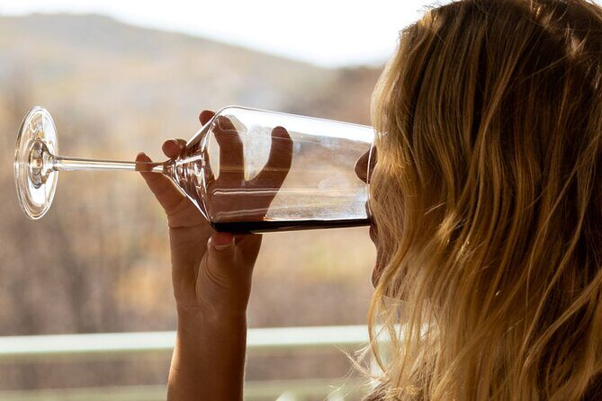 Wine tasting in Rhodes, inside the vineyards with the Producer - Final Thoughts: Who is This Tour Best For?