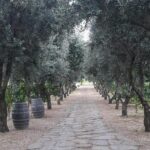 Wine tasting in Roman Countryside: 3-hour tour from Rome - FAQ