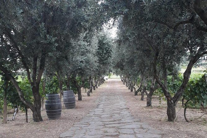 Wine tasting in Roman Countryside: 3-hour tour from Rome - FAQ