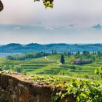 Wine tasting in the Collio wine area, guided tour of Cividale. - Authentic Experiences and Unique Highlights