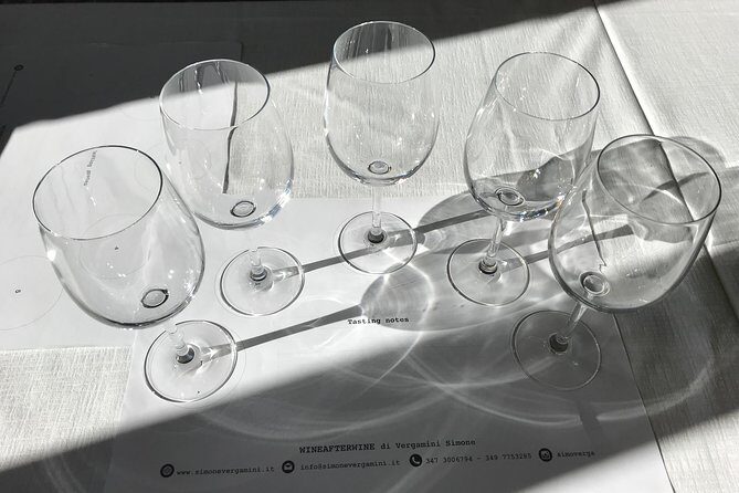 Wine tasting in Versilia with sommelier - 5 wines and local products - The Approach of the Tour