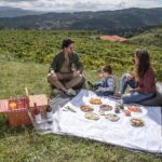 Wine Tasting & Lunch from Porto | Quinta de Santa Cristina - Final Thoughts