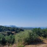 Wine Tasting: Meet the Cretan Vineyard at West Chania - FAQ