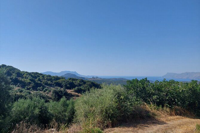 Wine Tasting: Meet the Cretan Vineyard at West Chania - FAQ